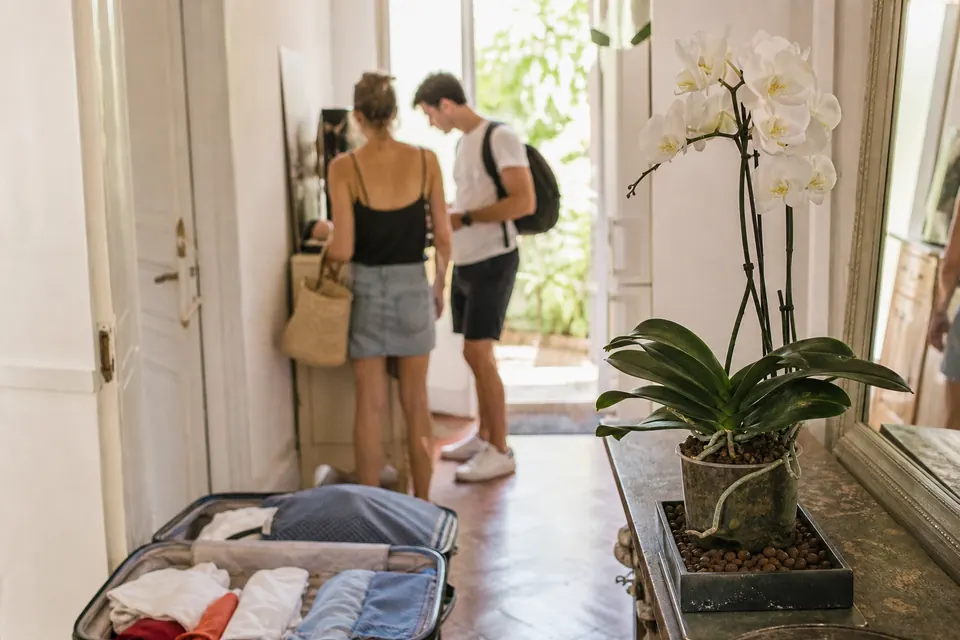 Valise ouverte dans une entrée et phalaenopsis posé dans un bac de gravier humide avant le départ
