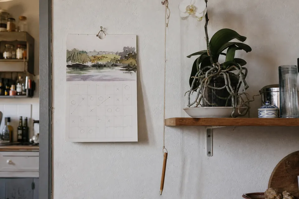 Calendrier mural avec des repères d’arrosage griffonnés, à côté d’un phalaenopsis sur une étagère