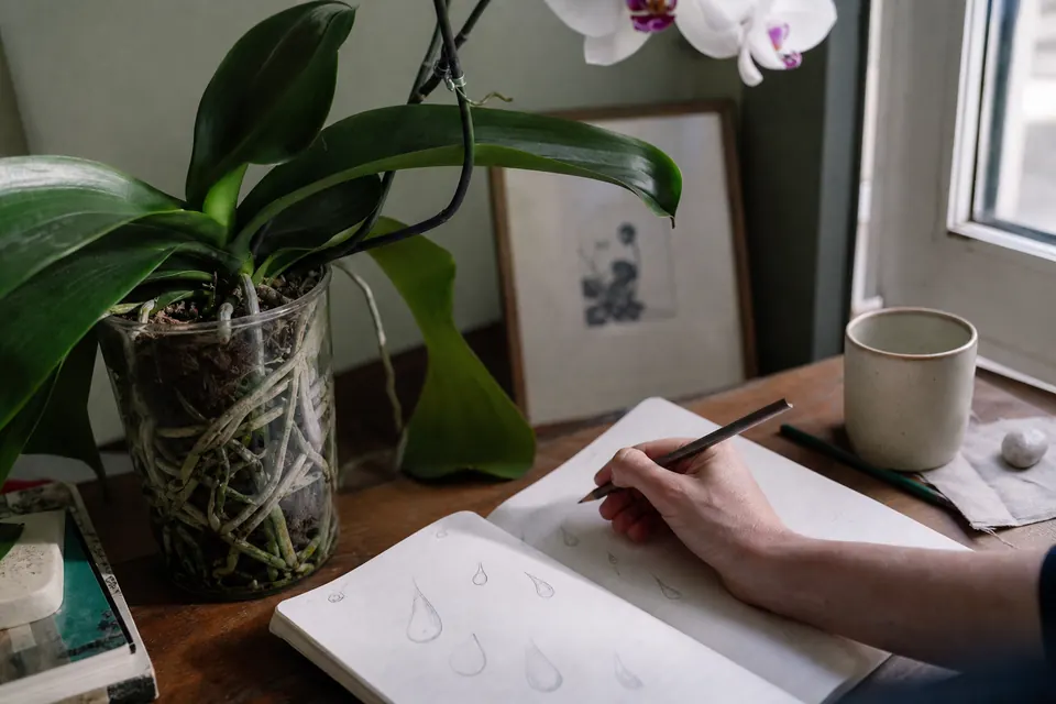 Carnet de suivi d’arrosage ouvert à côté d’un phalaenopsis et d’un crayon
