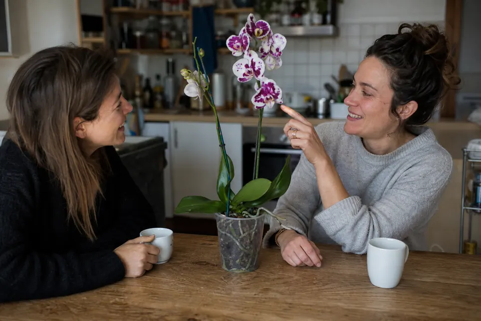 Deux amies discutent autour d’un phalaenopsis posé sur la table de la cuisine